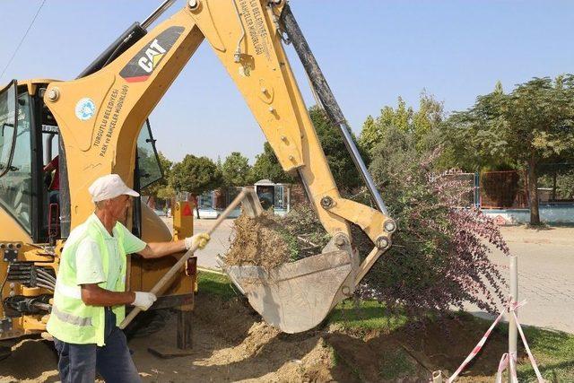 Nakledilen Ağaçlar Yeni Toprağıyla Buluşuyor