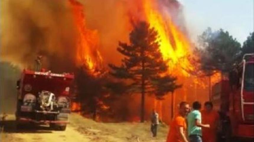 Geyve'de Orman Yangını