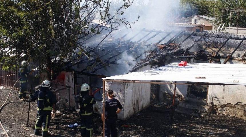 Metruk Binada Yangın