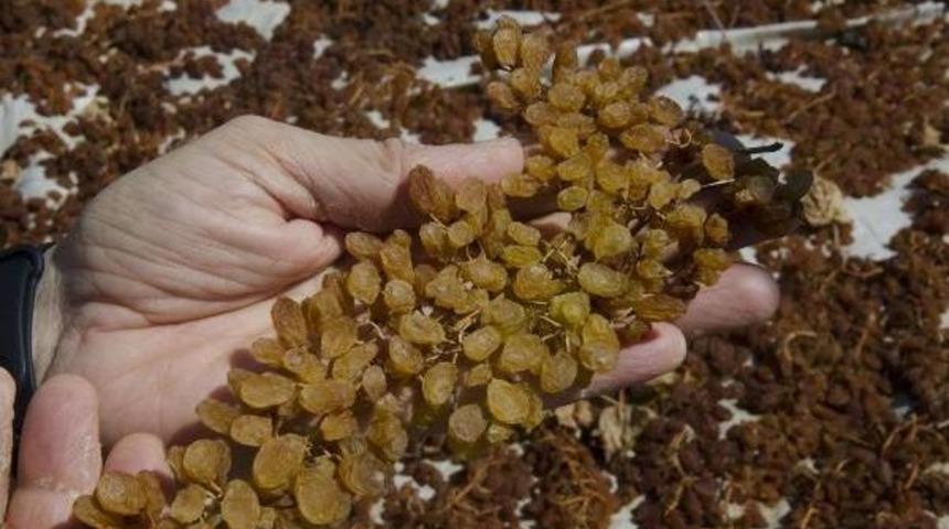 &Uuml;z&uuml;mde 4 Liralık Fiyata Chp'li Vekilden Tepki