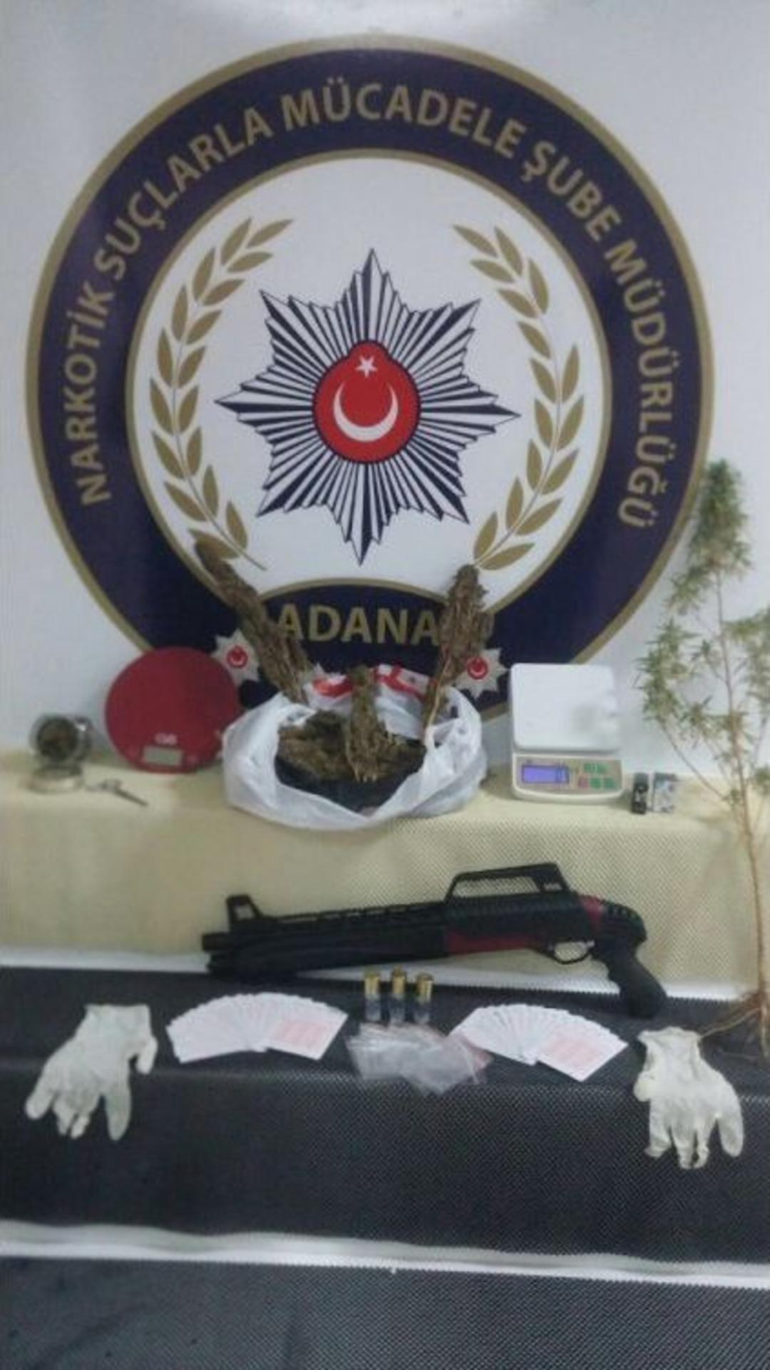 Polis Uyuşturucu Operasyonunda İlk Kez "skunk" Ele Ge&ccedil;irdi