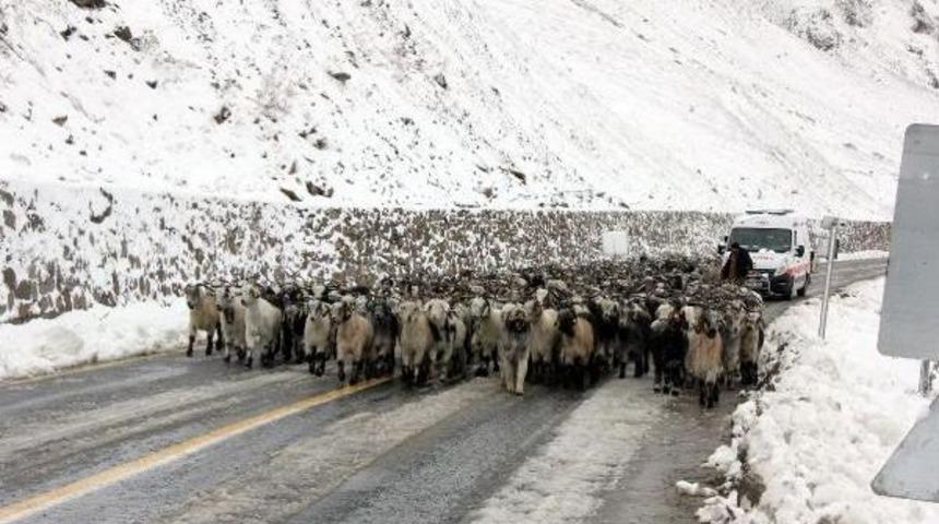 Ovit Dağı Ulaşıma Kapandı, Mahsur Kalan 6 Kişi Kurtarıldı