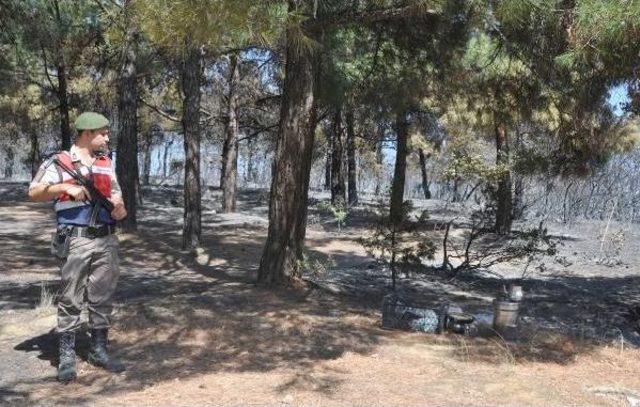 Tekirdağ'da 10 Hektar Ormanlık Yandı