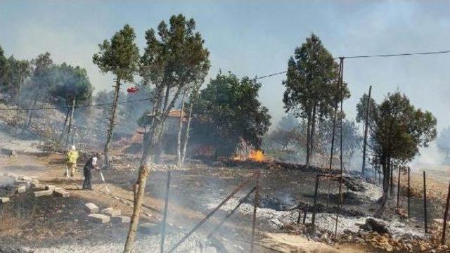 Bahçedeki Yangın Ormana Sıçradı: 10 Evde Hasar Oluştu