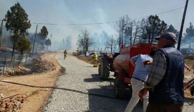 Bahçedeki Yangın Ormana Sıçradı: 10 Evde Hasar Oluştu