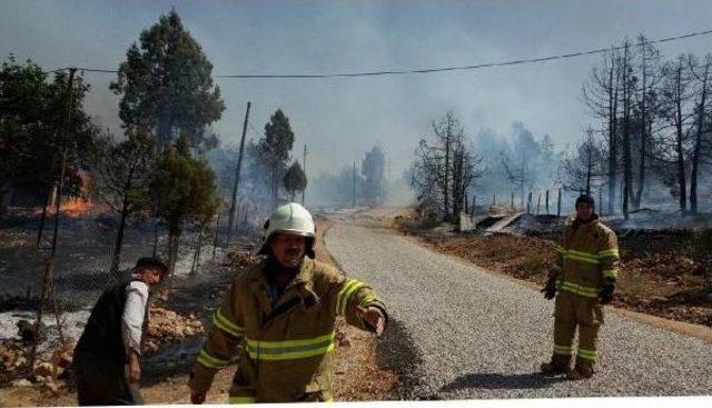 Bahçedeki Yangın Ormana Sıçradı: 10 Evde Hasar Oluştu