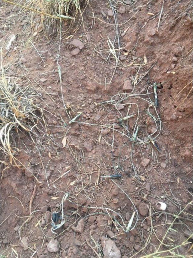 Keklik Avlamak İ&ccedil;in Kurulan 8 Tuzak D&uuml;zeneği Ele Ge&ccedil;irildi 1