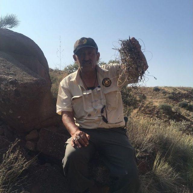 Keklik Avlamak İ&ccedil;in Kurulan 8 Tuzak D&uuml;zeneği Ele Ge&ccedil;irildi 2