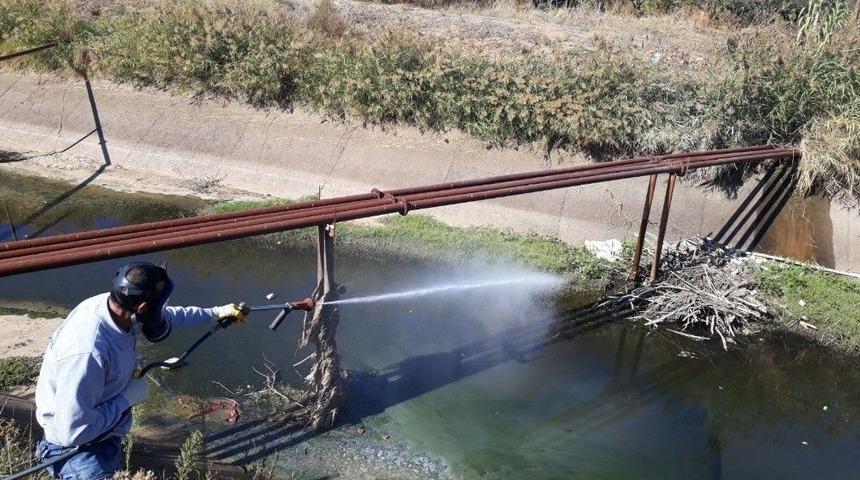 Halk Sağlığı İçin İlaçlama Çalışmaları Devam Ediyor