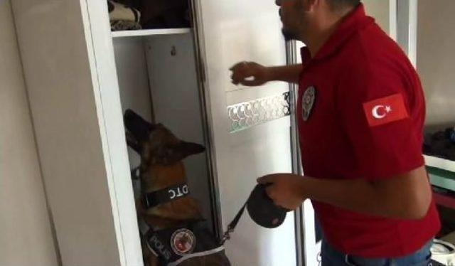 Narkotik K&ouml;peği "maya" Uyuşturucuyu Işte B&ouml;yle Buldu 1