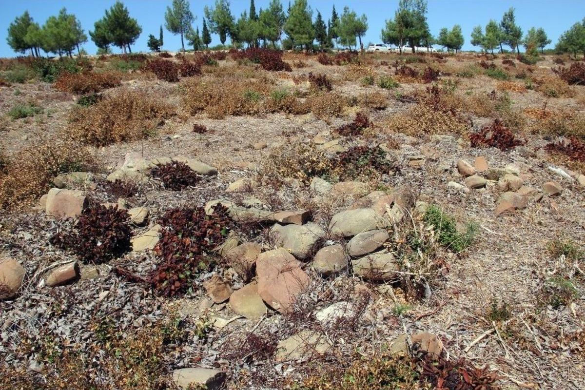 Tarihi Gelibolu Yarımadası&rsquo;na 15 Yeni Şehitlik