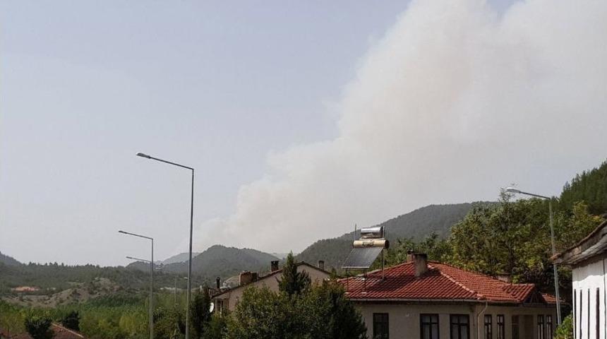 Sakarya’da Başlayan Orman Yangını Hızla Büyüyor
