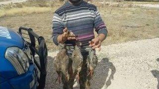 Kaçak Avlanan Her Keklik İçin 638’şer Lira Ceza