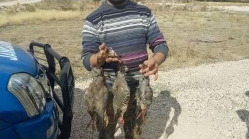 Kaçak Avlanan Her Keklik İçin 638’şer Lira Ceza