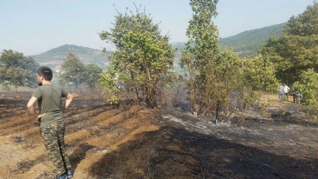 Bursa’da 3 Hektarlık Ormanlık Alan Yandı