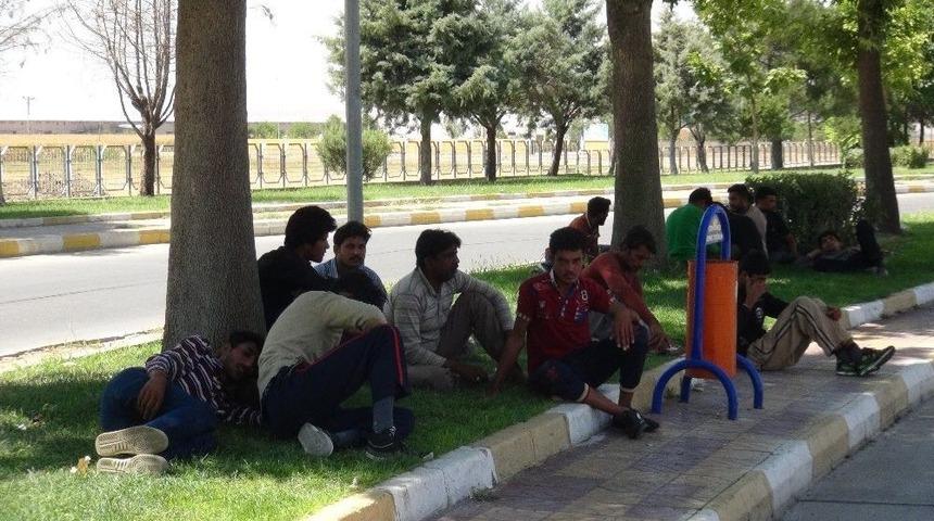 Batman&rsquo;da Son Bir Haftada 420 G&ouml;&ccedil;men Yakalandı