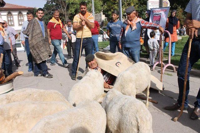 Türkiye’nin Dört Bir Yanından Gelen Çobanlar ‘çoban Ateşi’ Yaktı