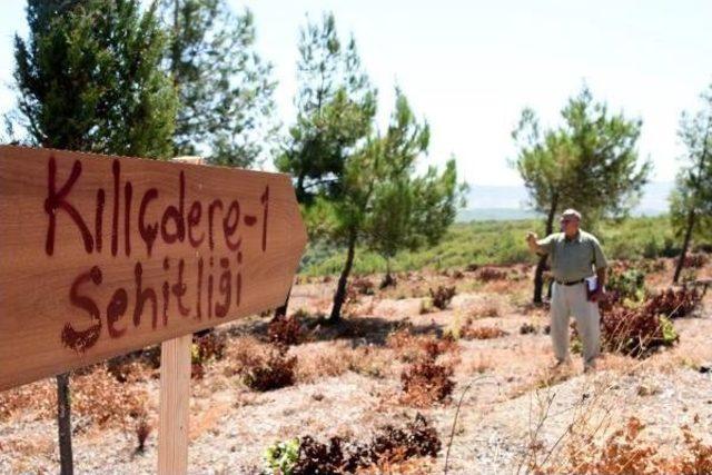 Gelibolu'da 15 Şehitlik Ihya Edilecek