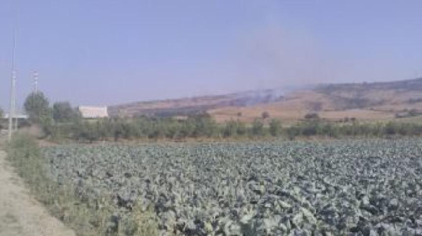 50 D&ouml;n&uuml;m Orman Yandı, Cam Devi B&uuml;y&uuml;k Tehlike Atlattı