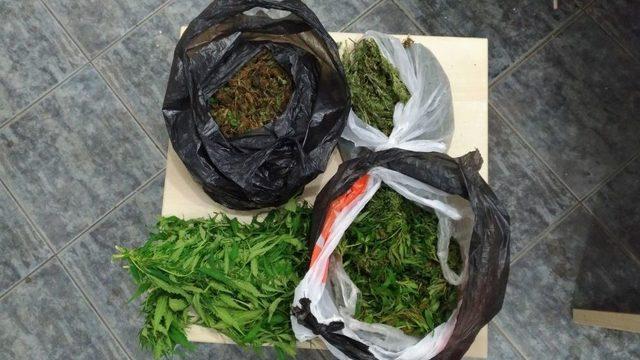 Bodrum’da Uyuşturucu Operasyonu