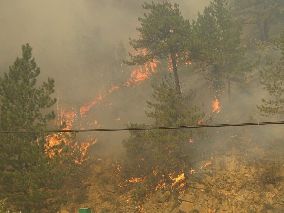 Emet&rsquo;teki Orman Yangını Devam Ediyor