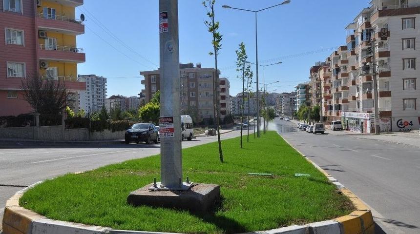 Kayyum İle Batman&rsquo;ın &Ccedil;ehresi Değişiyor