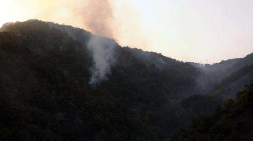 Tokat'ta Orman Yangını