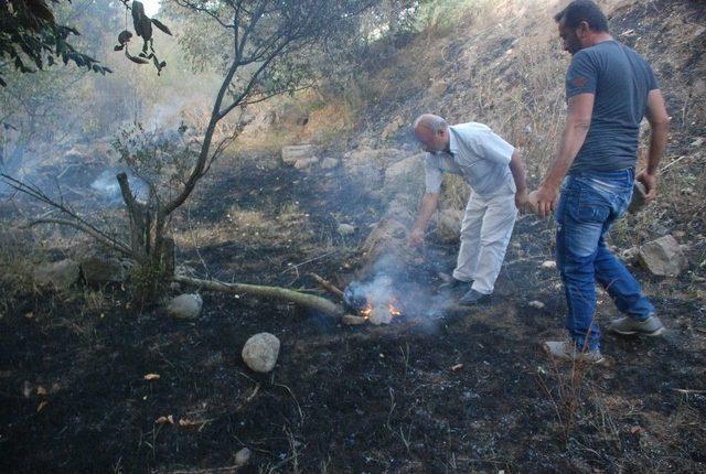 Tokat’ta Orman Yangını