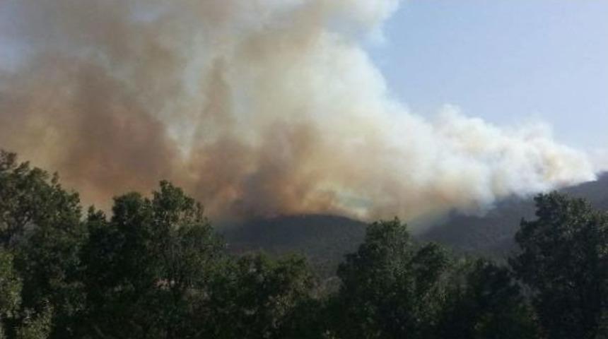 Bah&ccedil;edeki Yangın Ormana Sı&ccedil;radı: 10 Evde Hasar Oluştu (2)