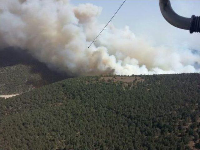 Bahçedeki Yangın Ormana Sıçradı: 10 Evde Hasar Oluştu (2)