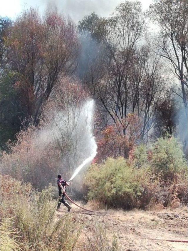 Malatya’da Orman Yangını Korkuttu