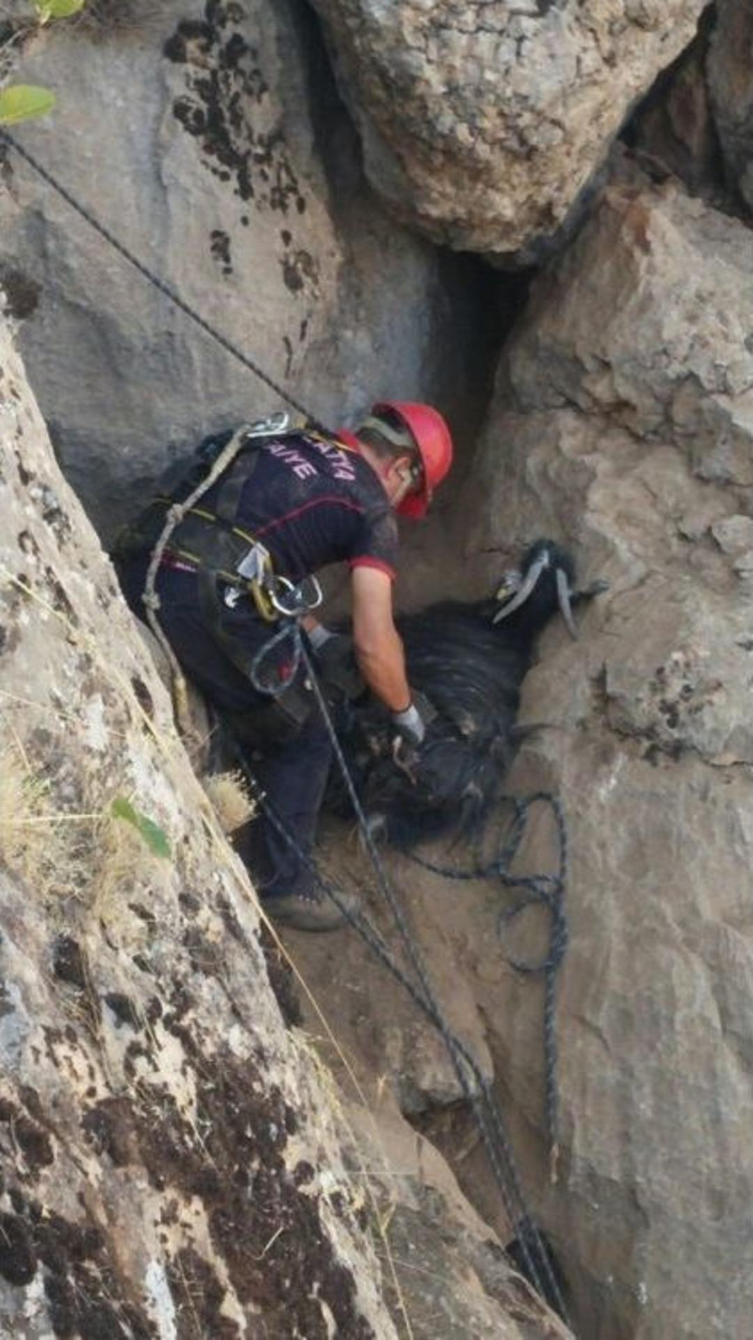 Kayalıklarda Mahsur Kalan Ke&ccedil;iler Kurtarıldı