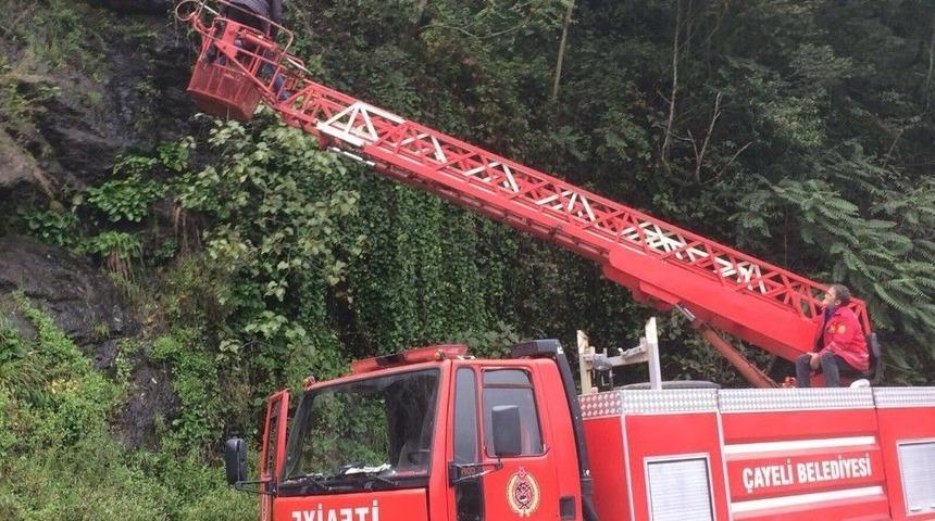 Kayalıklarda Mahsur Kalan K&ouml;peği İtfaiye Ekipleri Kurtardı