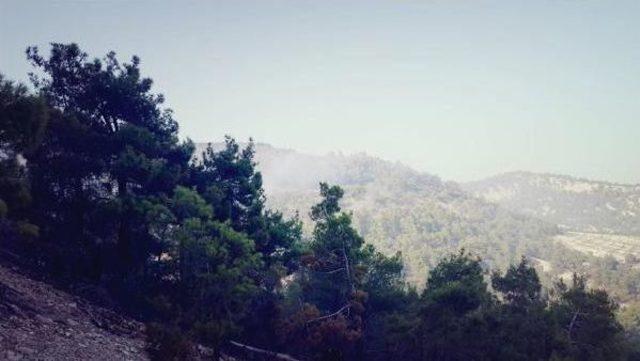 Manisa da Orman Yangını 1