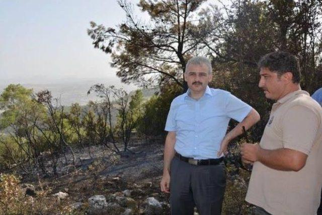 Manisa da Orman Yangını 2