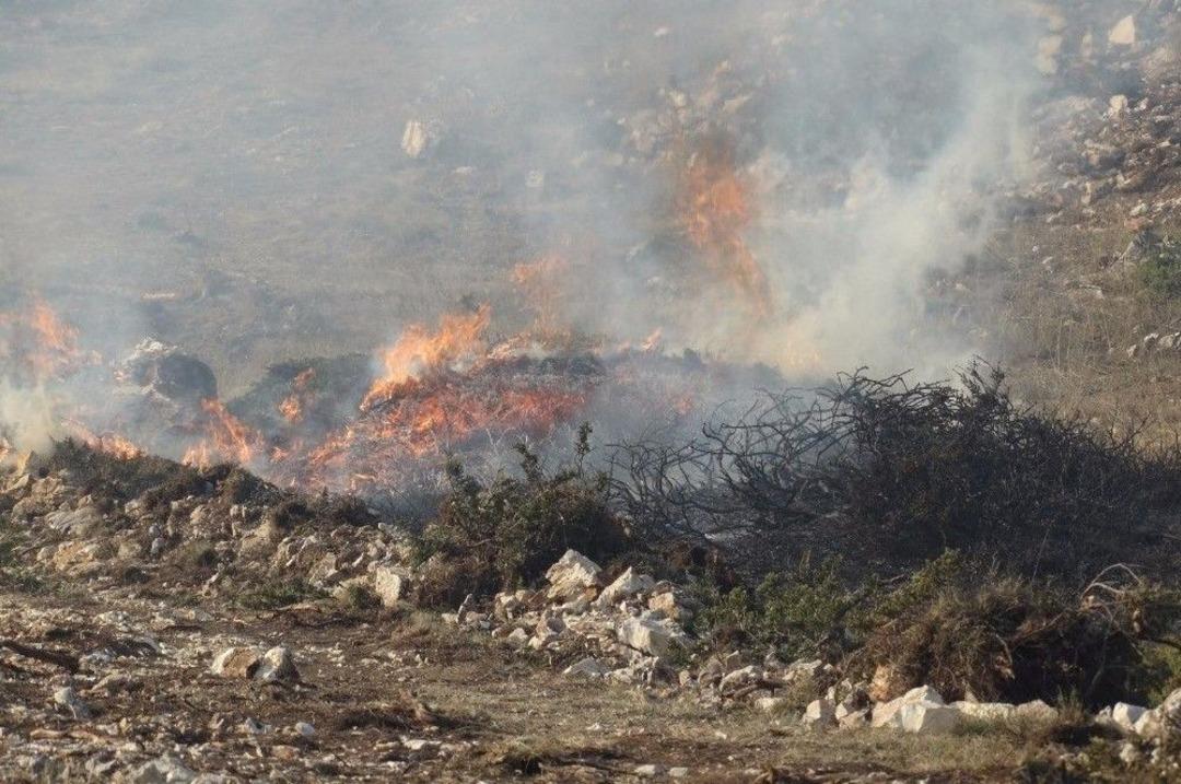 Domani&ccedil;&rsquo;te &Ccedil;ıkan Orman Yangını Bilecik Sınırına Ulaştı