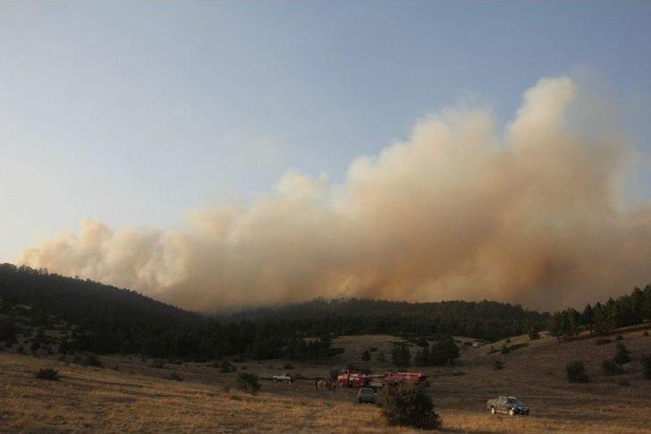 Domaniç’te Çıkan Orman Yangını Bilecik Sınırına Ulaştı G1