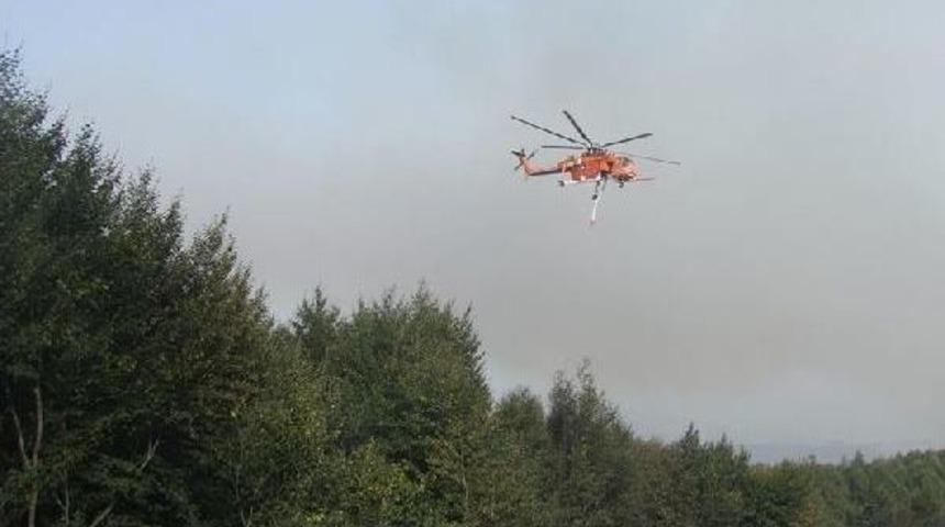 Geyve'de Orman Yangını (2)