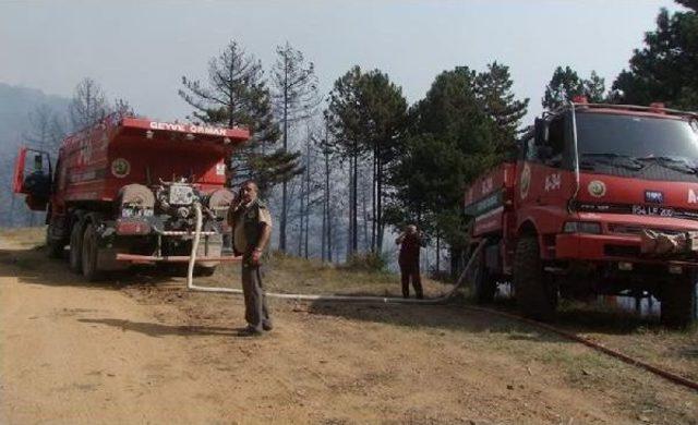 Geyve'de Orman Yangını (2)