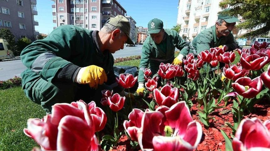Bağcılar&rsquo;da Park Ve Bah&ccedil;eler Kışa Dayanıklı &Ccedil;im Ve &Ccedil;i&ccedil;eklerle Donatılıyor