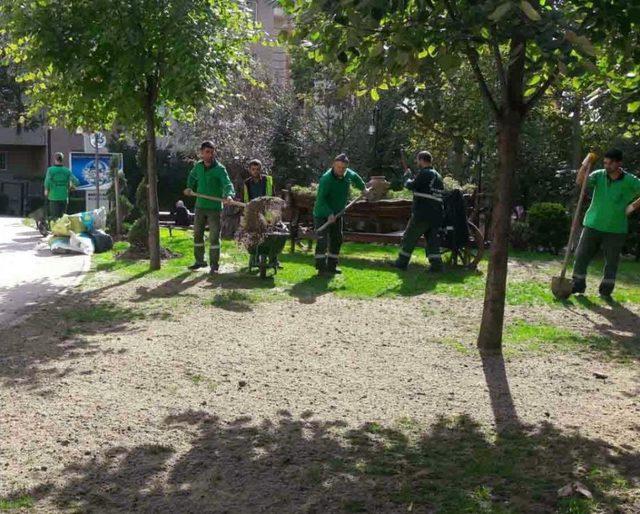 Bağcılar’da Park Ve Bahçeler Kışa Dayanıklı Çim Ve Çiçeklerle Donatılıyor