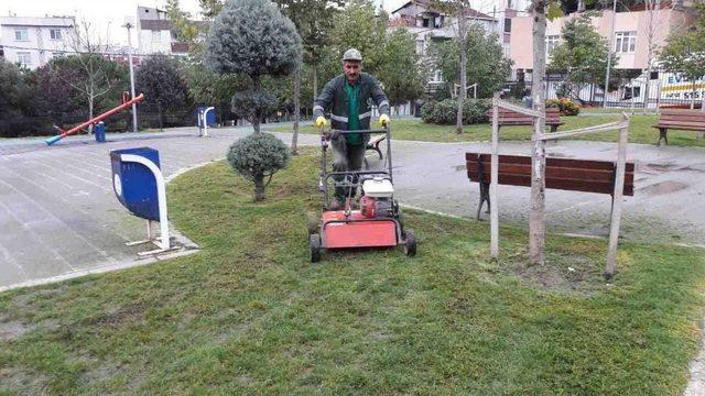 Bağcılar’da Park Ve Bahçeler Kışa Dayanıklı Çim Ve Çiçeklerle Donatılıyor