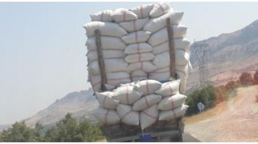 Tehlikeli Yolculukta Uyku Keyfi