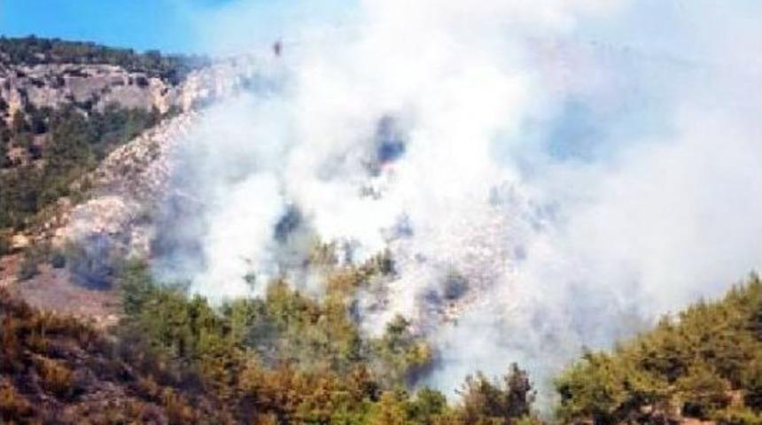 Milas'ta Orman Yangını &Ccedil;ıktı