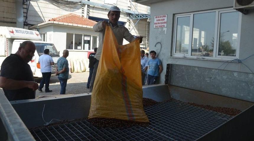 &Uuml;reticiler Tmo&rsquo;yu Tercih Ediyor