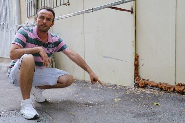 Kafası Kesilen Yavru Kedi Emniyeti Harekete Ge&ccedil;irdi 2