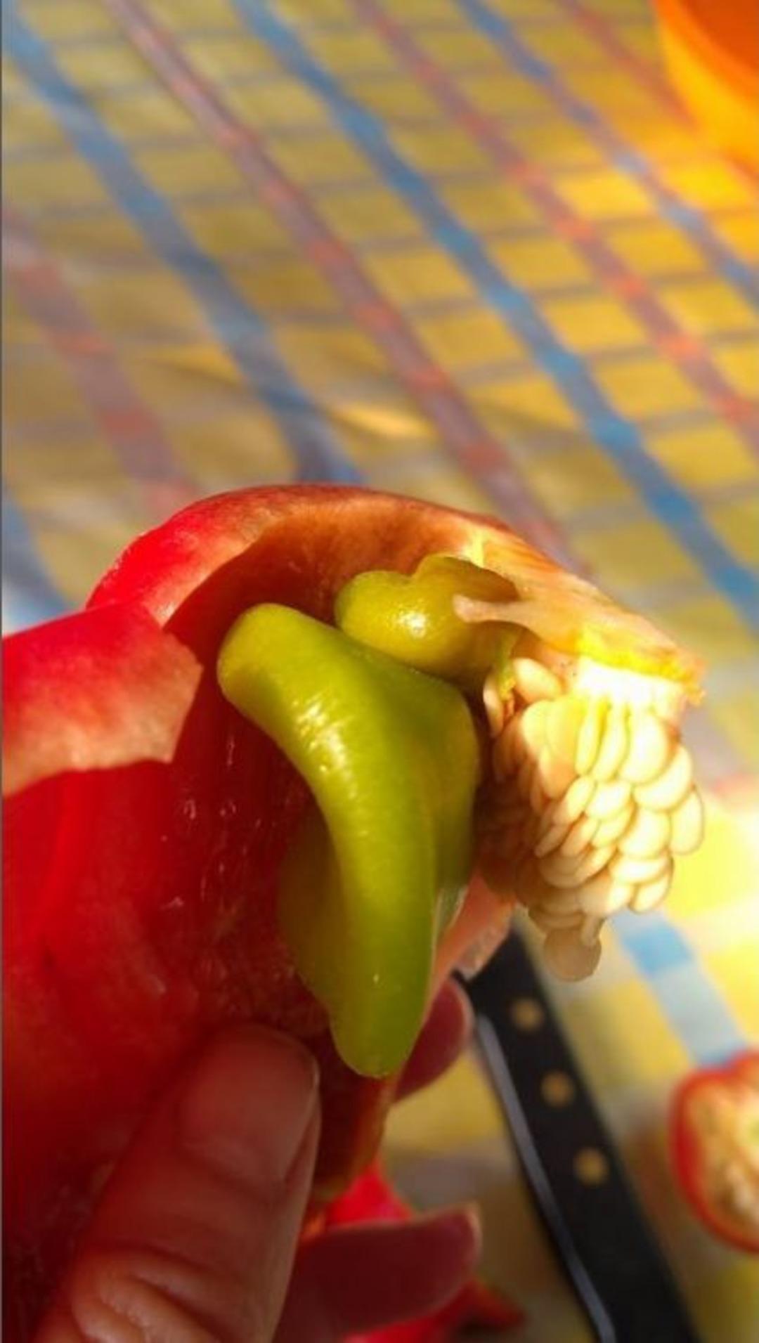 (&ouml;zel Haber) Kırmızı Biberin İ&ccedil;inden Yeşil Biber &Ccedil;ıktı