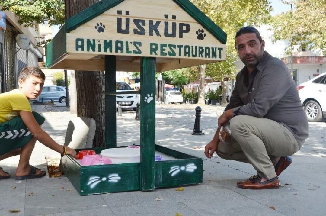 (&ouml;zel Haber) Sokak Hayvanları İ&ccedil;in Mini Restoran Oluşturdu