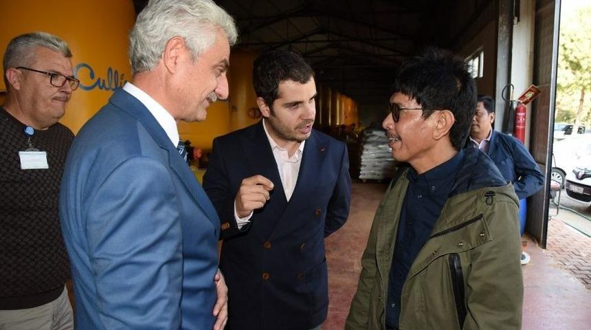 Sıvı Klor Yerine Sofra Tuzundan Klor