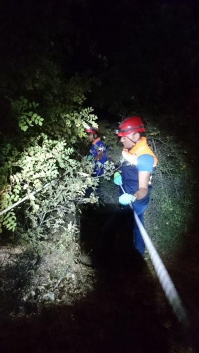 Erzincan’da Virajı Alamayan Otomobil Şarampole Devrildi: 4 Ölü, 2 Yaralı 1